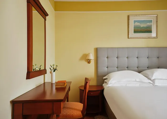 Otel Continental