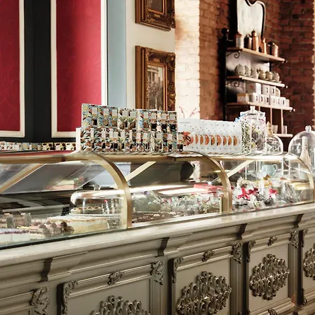 Continental 오파티아