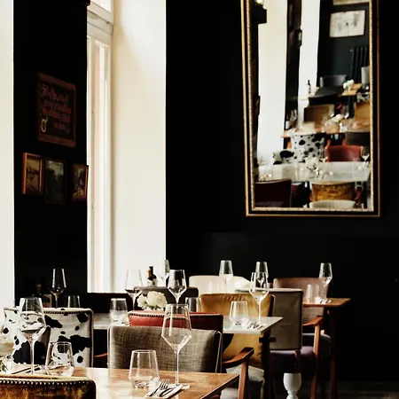 Continental 오파티아