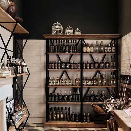 Continental 3* 오파티아